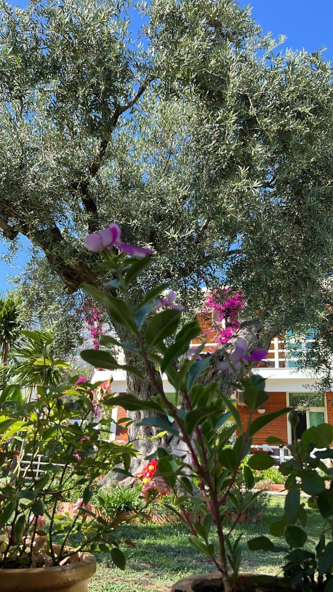 Hotel Jon Dhermi Exterior photo